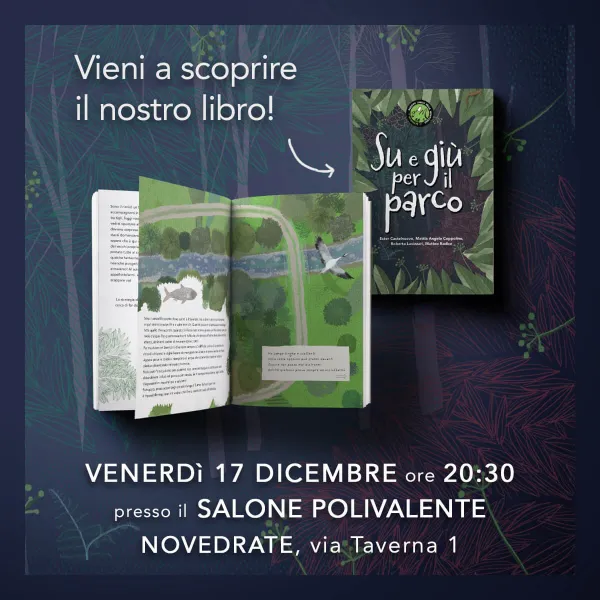 Copertina del libro Su e Giù per il parco